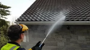 Soft Washing vs Pressure Washing