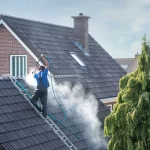 Roof Cleaning Services